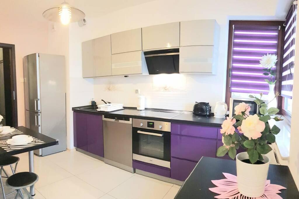 Luxury Kings 50m2 2 Pok. Downtown Dobrego Pasterza Piekny Apartment